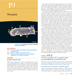 Viruses - AP Biology