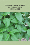 Common Edible Plants of the Eastern Woodlands