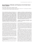 Neural Mapping of Direction and Frequency in