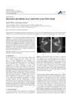 Bacterial Labyrinthitis in an Adult with Acute