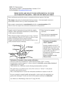 BMS 153: Neuroscience The chemical synapse + neurotransmitters