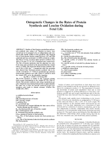 Ontogenetic Changes in the Rates of Protein Synthesis and