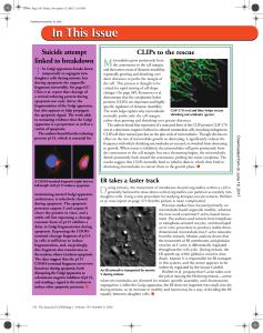 In This Issue - The Journal of Cell Biology