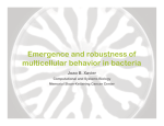 multicellular behavior in bacteria