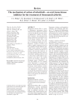 Review The mechanism of action of tofacitinib