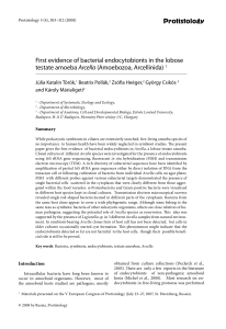 Protistology First evidence of bacterial endocytobionts in the lobose