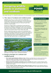 Wetlands and reedbeds - Freshwater Habitats Trust