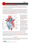 The structure and function of the mammalian heart