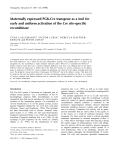 PDF Version - Weizmann Institute of Science