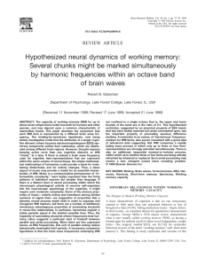 Hypothesized neural dynamics of working memory
