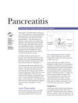 Pancreatitis - Jeffrey Mark M.D.