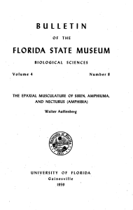 PDF - Florida Museum of Natural History
