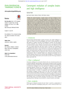 Convergent evolution of complex brains and high intelligence