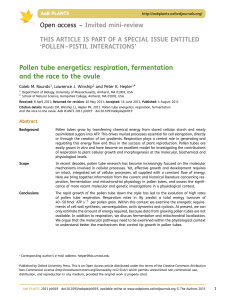 Pollen tube energetics: respiration, fermentation