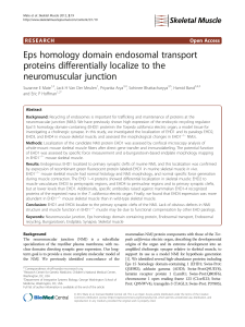 Eps homology domain endosomal transport proteins differentially