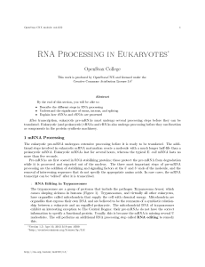 RNA Processing in Eukaryotes
