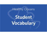 and print student vocabulary handouts