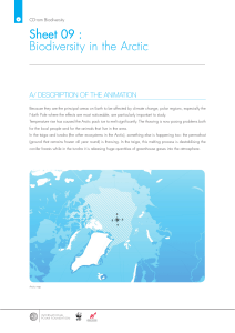 Sheet 09 : Biodiversity in the Arctic