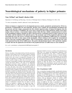 Neurobiological mechanisms of puberty in higher primates