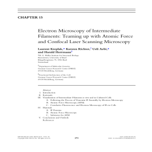 Electron Microscopy of Intermediate Filaments: Teaming up with