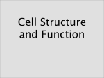 Cell Structure and Function