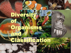 Diversity of Organisms and Classification