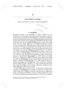 PDF copy - Alain Destexhe