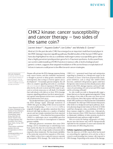 CHK2 kinase: cancer susceptibility and cancer therapy – two sides