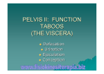 pelvis ii: function taboos (the viscera)