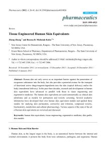 Tissue Engineered Human Skin Equivalents