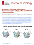 Mechanism of Binding to Ebola Virus