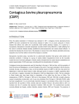 Contagious bovine pleuropneumonia (CBPP)