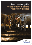 Best practice guide for the control of bovine respiratory disease