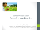 Sensory Features in Autism Spectrum Disorders