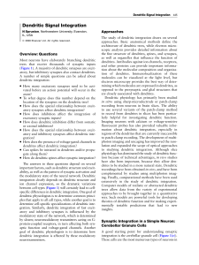 Dendritic Signal Integration