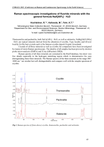 Raman spectroscopic investigations of fluoride minerals with the