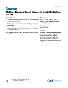 Multiple Running Speed Signals in Medial Entorhinal Cortex