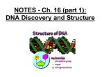 DNA Discovery and Structure
