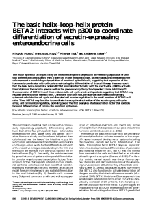 The basic helix–loop–helix protein BETA2 interacts with p300 to