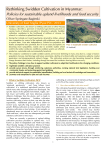 Rethinking Swidden Cultivation in Myanmar