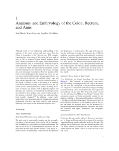 Anatomy and Embryology of the Colon, Rectum, and Anus