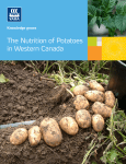 The Nutrition of Potatoes in Western Canada