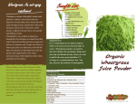 Wheatgrass contains chlorophyll, amino acids, minerals, vitamins