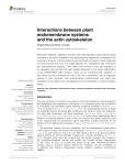 Interactions between plant endomembrane systems and the actin