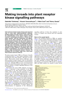 Making inroads into plant receptor kinase signalling pathways