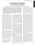 Host-Bacterial Mutualism in the Human Intestine