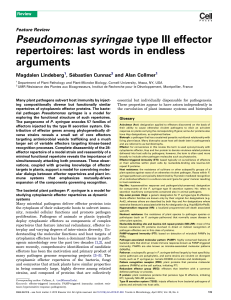Pseudomonas syringae type III effector repertoires: last words in