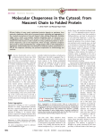 Molecular Chaperones in the Cytosol: from Nascent Chain to Folded