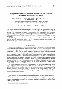 Polygenes and Modifier Genes for Tetracycline and