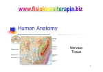 Human Anatomy - Fisiokinesiterapia